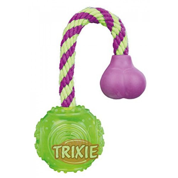 trixie_ball_on_a_rope_thermoplastic_rubber_dog_toy