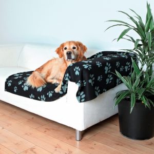 trixie-barney-blanket