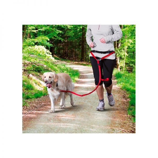 trixie-waist-belt-with-lead-for-medium-sized-and-large-dogs