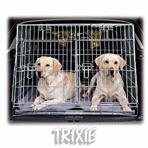 51YpN+SFLPL._SY300_QL70_