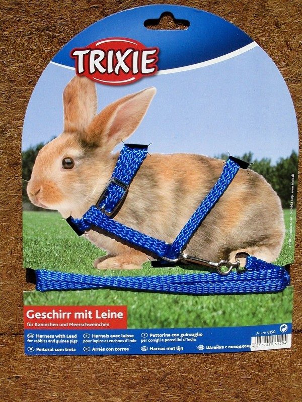 szelki_kr_lik_niebieskie-re-800