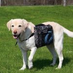 trixie-sac-a-dos-pour-chiens-taille-m