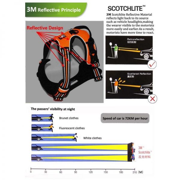 harnais-truelove-country
