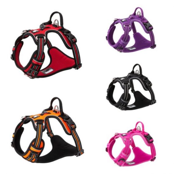 029EDD62-8041-49E6-9F6C-F5F6000C0F3F