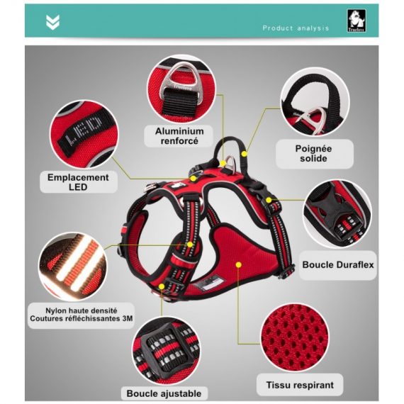 0D3BB638-DF75-4AF8-A765-177B90EA298E