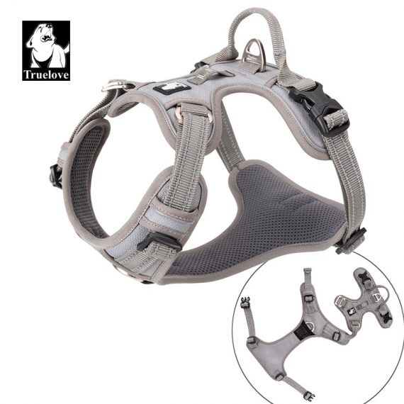 120FD282-13F0-4FCD-B3D2-837198B828C4