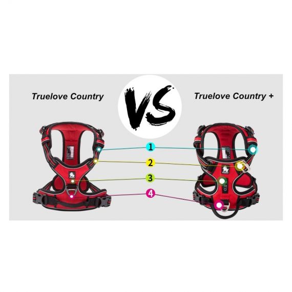 D7399901-3E69-4E6A-9816-40B835607B92